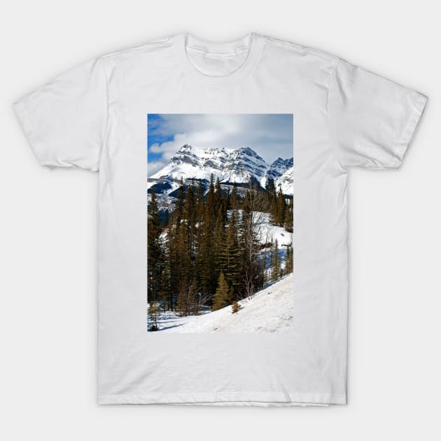 Canadian Rocky Mountains Icefields Parkway Canada T-Shirt by AndyEvansPhotos